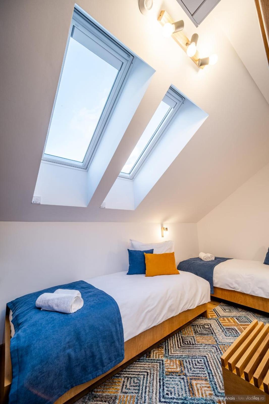 Anais Chalet Câmpulung Moldovenesc エクステリア 写真